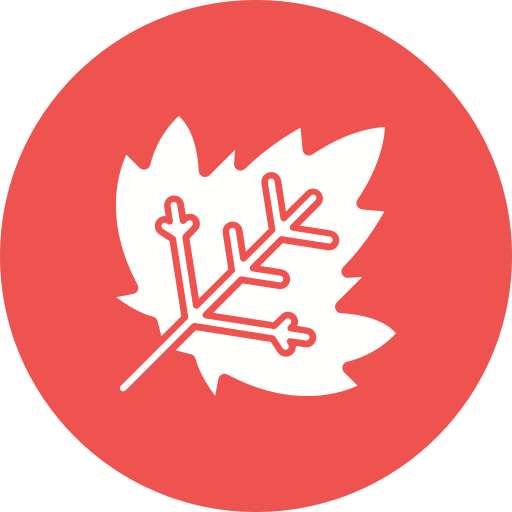 Maple leaf free icon