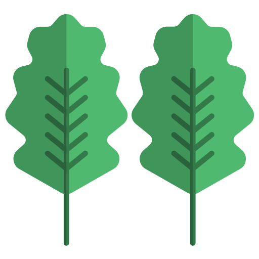 Дубовый лист бесплатно иконка Дубовый лист бесплатно иконка