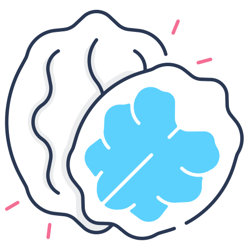 Walnut free icon