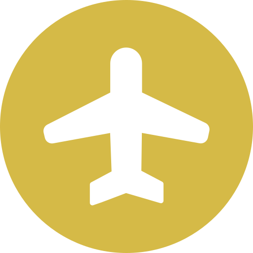 avión icono gratis