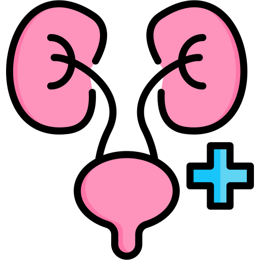 urologie Icône gratuit