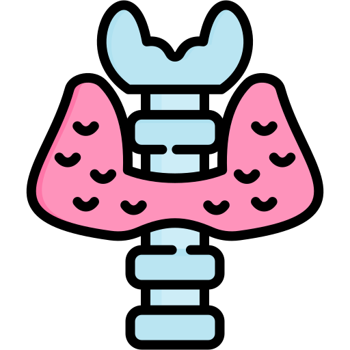 endocrinologie Icône gratuit endocrinologie Icône gratuit
