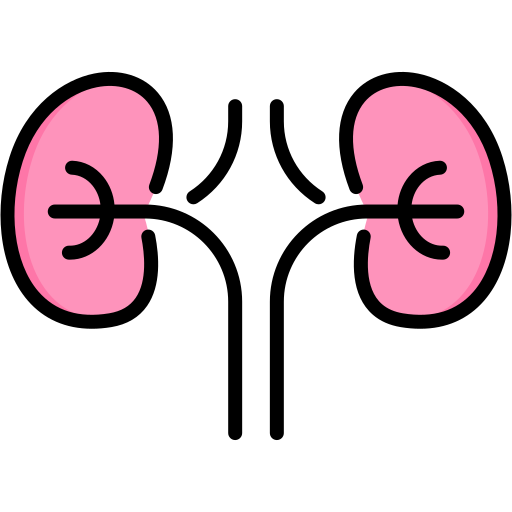 Nephrology - Free healthcare and medical icons