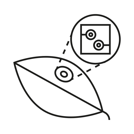 feuille Icône gratuit