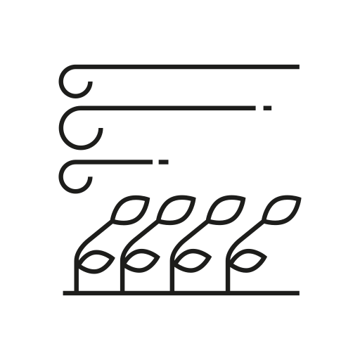 Растение бесплатно иконка