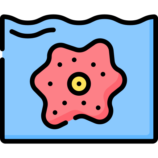 Amoeba free icon