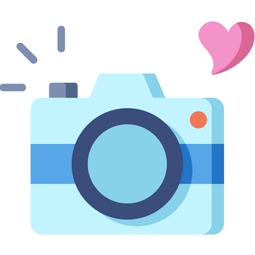 Camera Special Flat icon