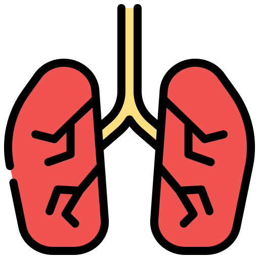 pulmones icono gratis