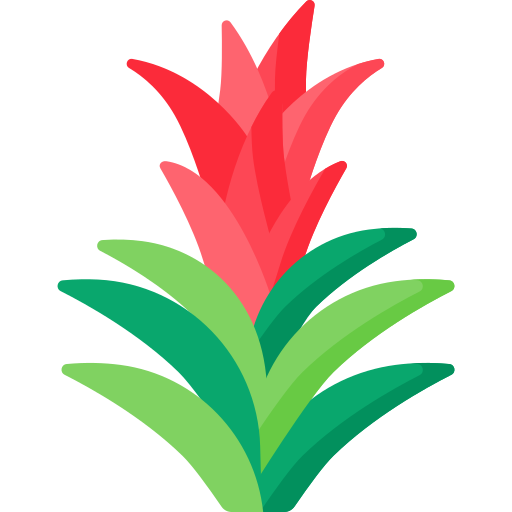 bromelia icono gratis