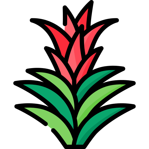 Bromeliad free icon