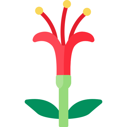 quintral icono gratis