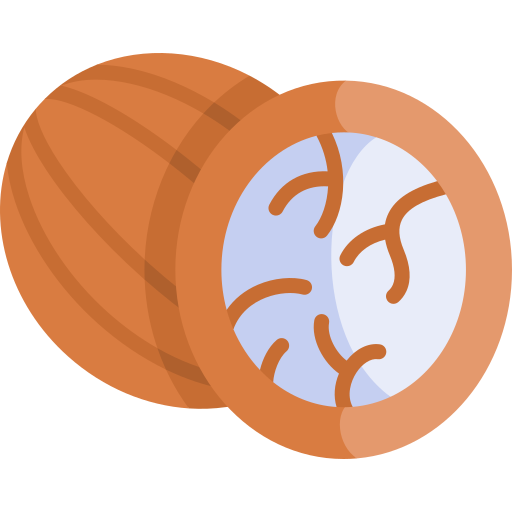 Nutmeg free icon Nutmeg free icon