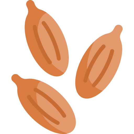 Cumin free icon Cumin free icon