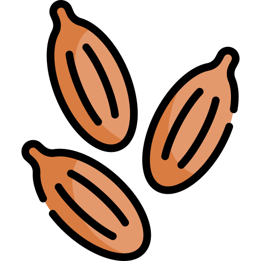kreuzkümmel kostenlos Icon kreuzkümmel kostenlos Icon