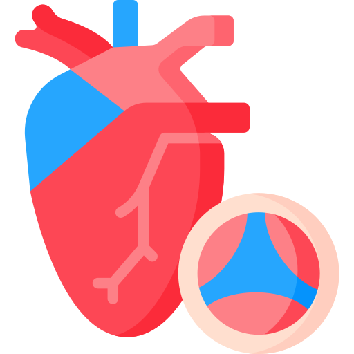 Aortic - Free healthcare and medical icons