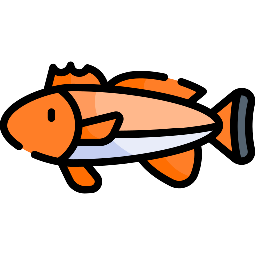 Red drum fish free icon Red drum fish free icon