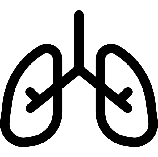 Lungs Basic Rounded Lineal icon