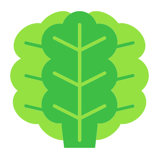 kopfsalat kostenlos Icon