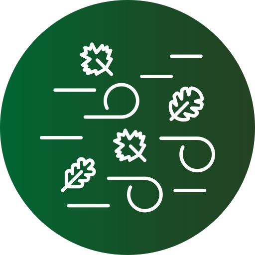 Wind free icon