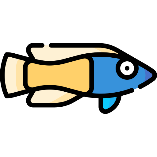 dottyback real icono gratis