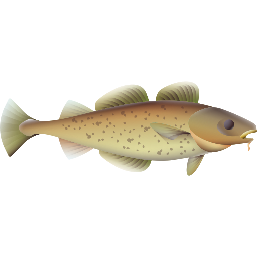 Cod free icon Cod free icon