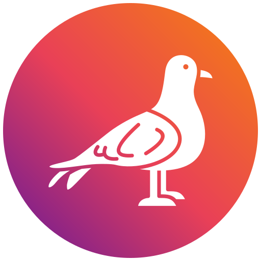 gaviota icono gratis