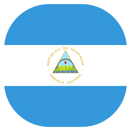 bandera icono gratis