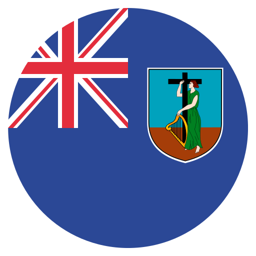 bandera icono gratis