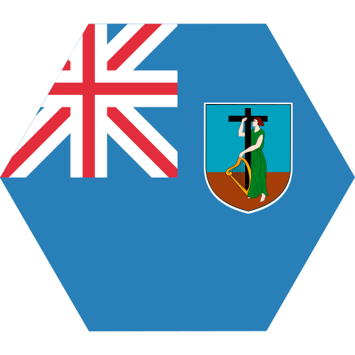 bandera icono gratis