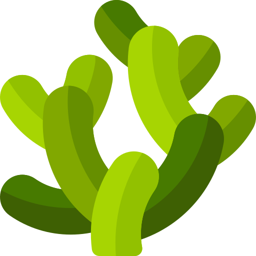 cactus garambullo icono gratis