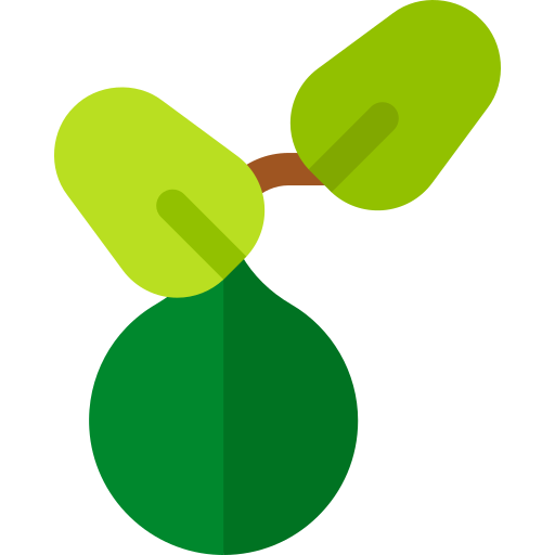 grüne bola kostenlos Icon grüne bola kostenlos Icon