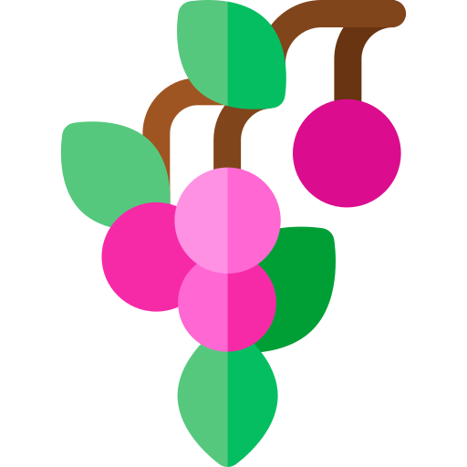 chaura grátis ícone chaura grátis ícone