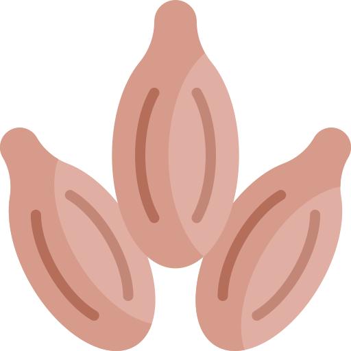 Cumin free icon Cumin free icon