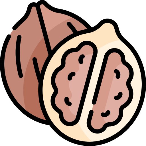 Walnut free icon Walnut free icon