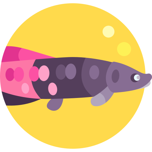 arapaima icono gratis