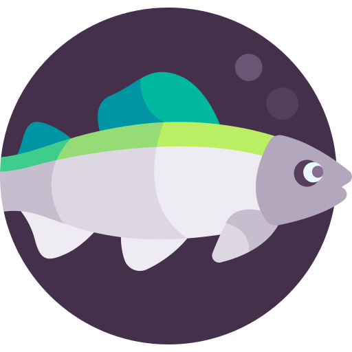 shishamo icono gratis