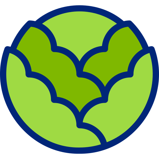 Cabbage free icon