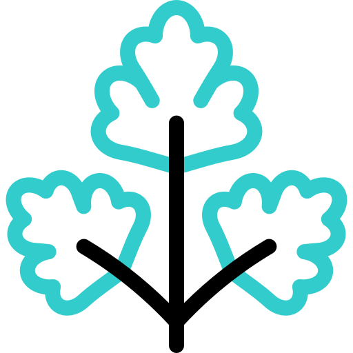 perejil icono gratis