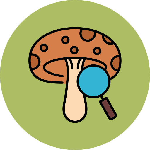 버섯 무료 아이콘 버섯 무료 아이콘