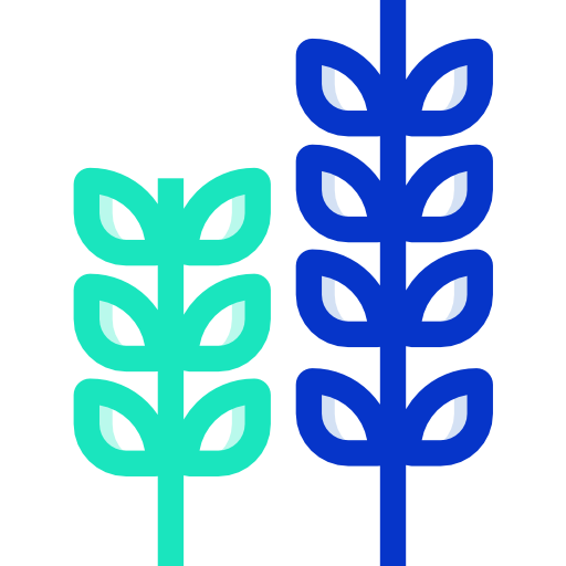 Wheat free icon