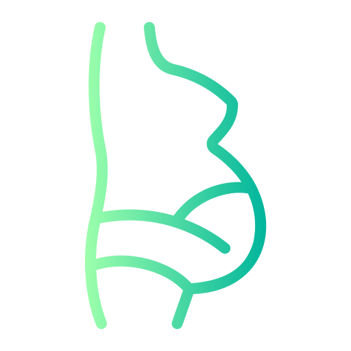 barriga grátis ícone