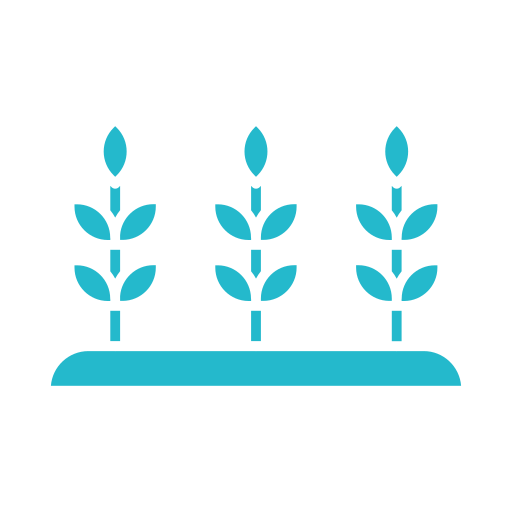 Плантация бесплатно иконка Плантация бесплатно иконка