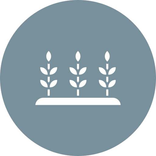 plantación icono gratis