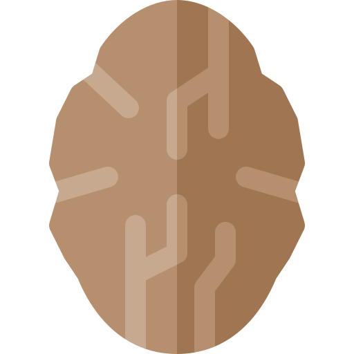 Nutmeg free icon Nutmeg free icon