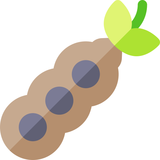 Tamarind free icon Tamarind free icon