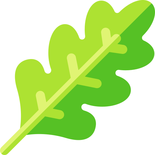Arugula free icon Arugula free icon