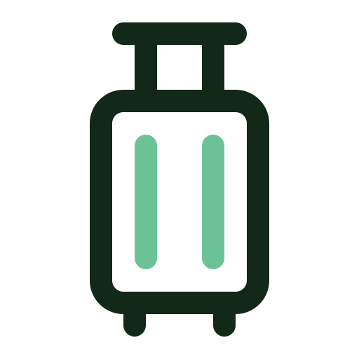 bagagem grátis ícone