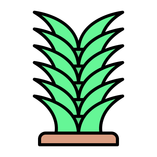 Yucca free icon
