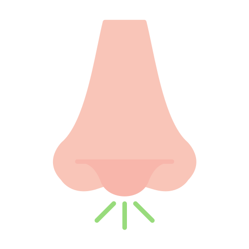 rhinologie kostenlos Icon
