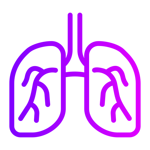 Lungs Generic gradient outline icon